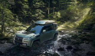 比亚迪仰望汽车图片