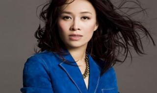 那英的歌曲雾里看花