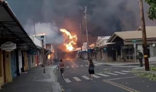 夏威夷大火何以失控