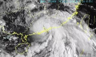 台风少年七人成团