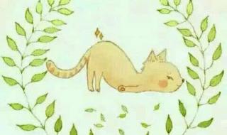 适合手机铃声的歌曲